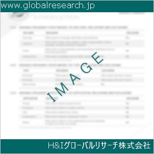 グローバルリサーチ調査資料のイメージ